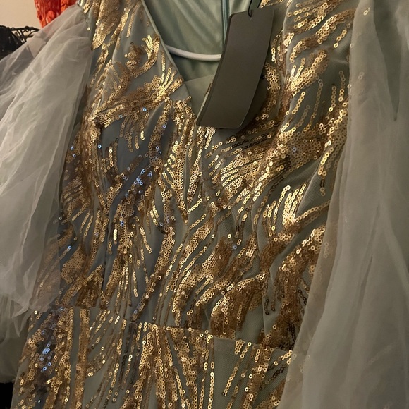 Elegant Formal Evening Gown - Picture 4 of 11